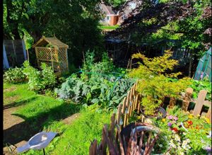 Garden- click for photo gallery